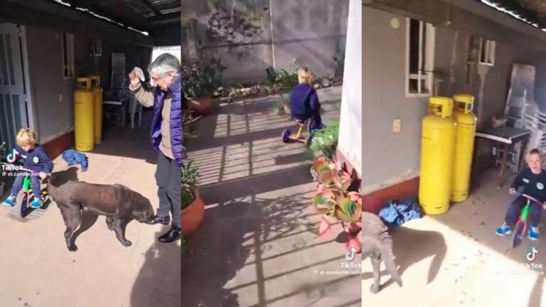 «Qué tiempazo!»: un abuelo jugó a «Franco Colapinto» con su nieto y se volvió el viral más tierno