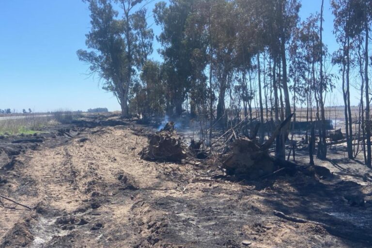 Estamos buscando al pirómano: sospechan que fueron intencionales cuatro incendios en zonas rurales