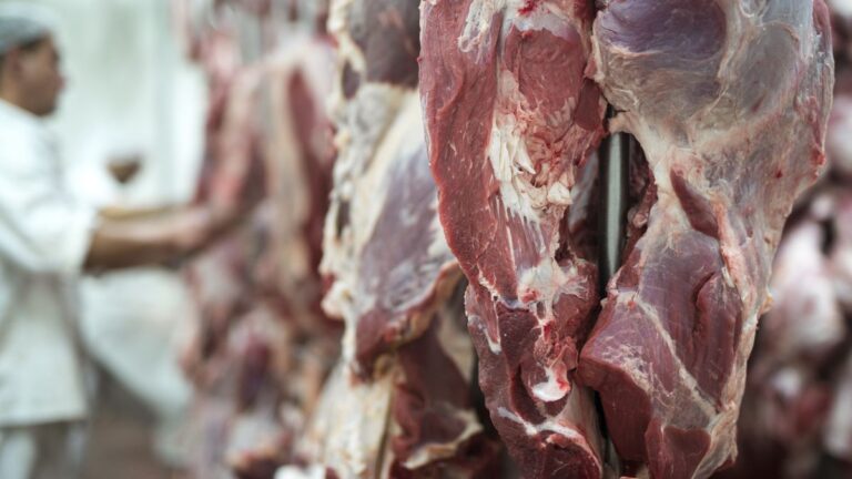 El Gobierno oficializó eliminación temporal de las retenciones a la carne vacuna y aviar
