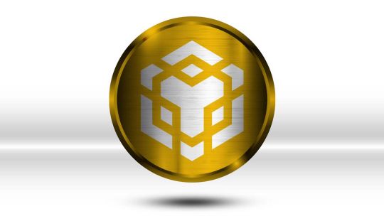 Bitcoin, Ethereum y BNB: a cuánto cotizan las criptomonedas hoy, martes 13 de enero