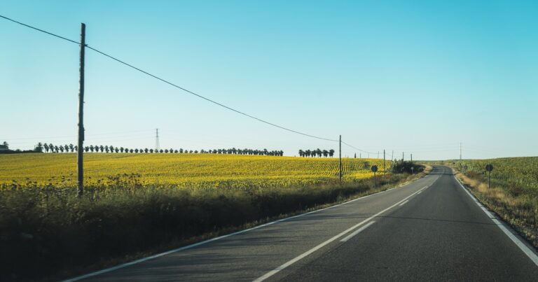La isla de cemento en la ruta 8: la historia del hombre que fue invisible a metros de todos